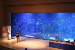 pecera Se comerá el tiburón a Ismael o Ismael se comerá al tiburón.