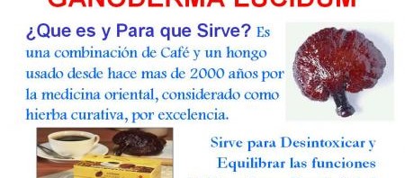 descripcion de producto