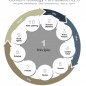estrategias de marcas
