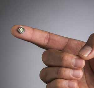 Internet de las cosas, microchip